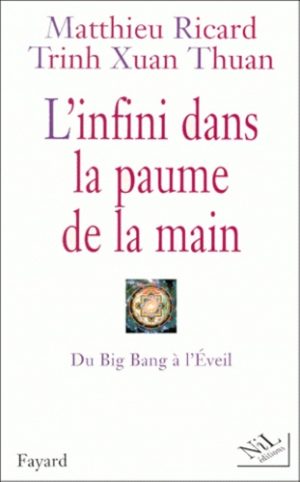 L'infini dans la paume de la main. Du Big Bang à l'Eveil