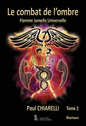 Flamme jumelle universelle Tome 2 - Grand Format Le combat de l'ombre