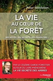 La vie au cœur de la forêt