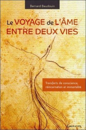 Le voyage de l'âme entre deux vies. Transferts de conscience, réincarnation et immortalité