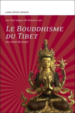 Le bouddhisme du Tibet. Au coeur du sujet