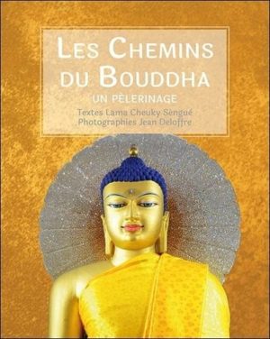 Les chemins du Bouddha. Un pèlerinage