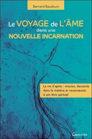 Le voyage de l'âme dans une nouvelle incarnation. La vie d'après : mission, descente dans la matière et reconnexion à son être spirituel