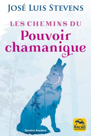 Les Chemins du Pouvoir Chamanique