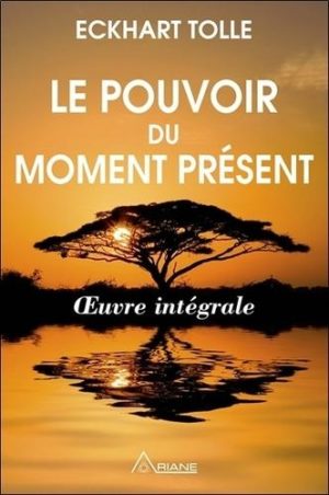 Le pouvoir du moment présent - Guide d'éveil spirituel - Oeuvre intégrale