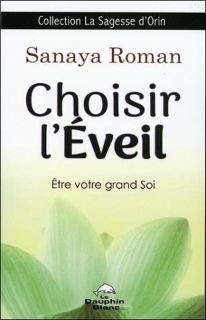 Choisir l'éveil. Eveil votre grand soi