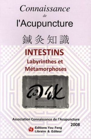 Connaissance de l'Acupuncture Intestins - Labyrinthe et Métamorphoses