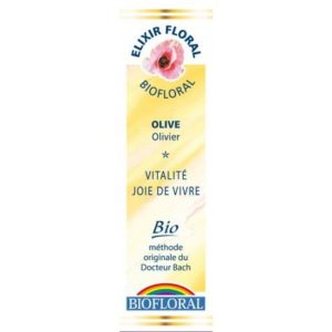 Olive, Olivier en compte-gouttes 20 ml