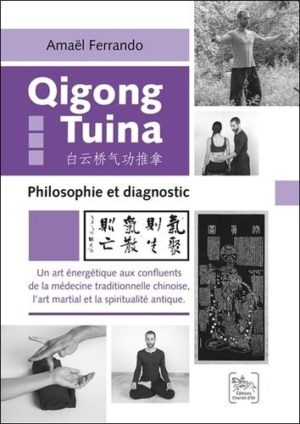 Qigong Tuina - Un art énergétique aux confluents de la médecine traditionnelle chinoise, l'art martial et la spiritualité antique. Philosophie et diagnostic
