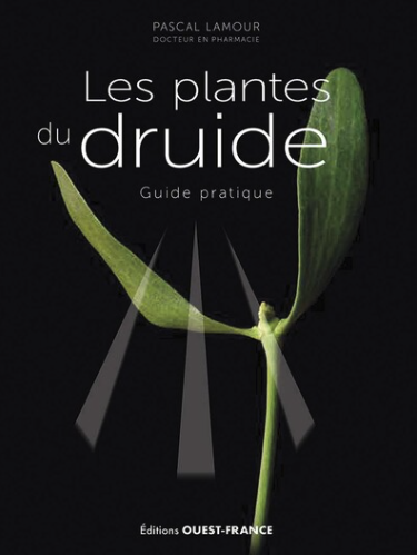 50 plantes du druide 50 plantes du druide
