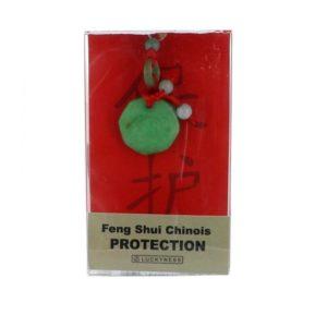 Porte-bonheur Feng-shui en Jade Protection