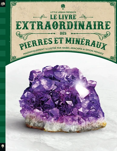 Le livre extraordinaire des pierres et minéraux Le livre extraordinaire des pierres et minéraux